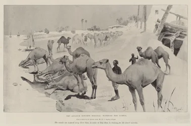 The Advance towards Dongola, watering the Camels